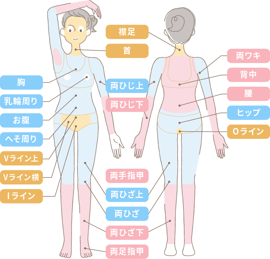 まるごと全身脱毛コース